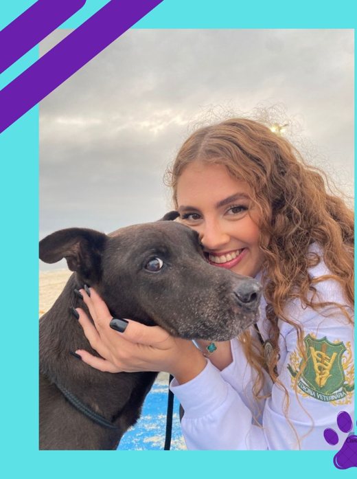 Veterinário em Piratininga: atendimento domiciliar da Dra. Carol Melo