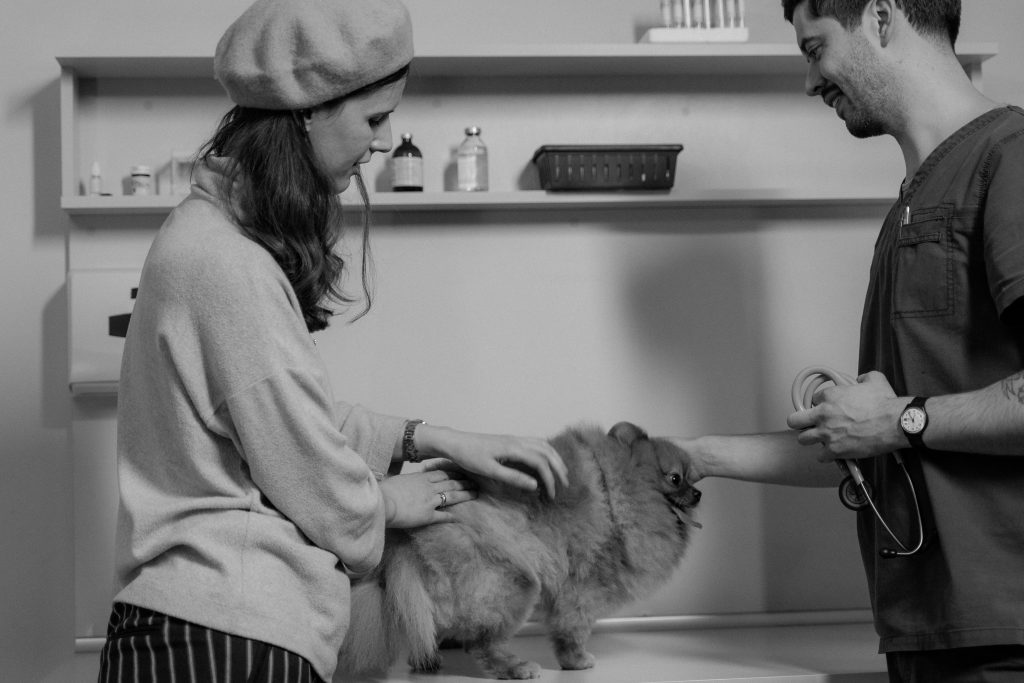 Veterinário no Fonseca atendendo cão com a tutora, consulta a domicílio