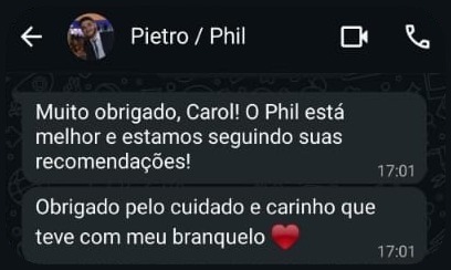 Depoimento de Pietro, tutor(a) de Phil, no WhatsApp da Melo Vet